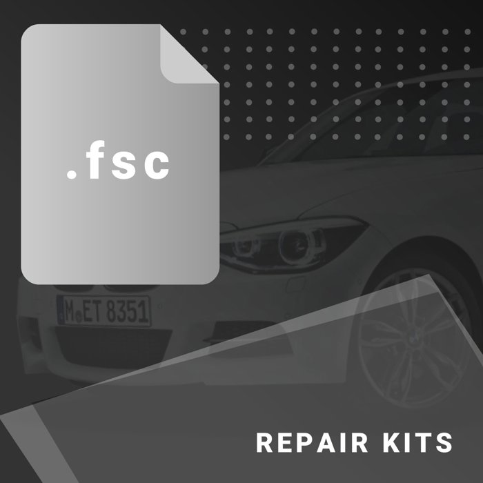 Picture for category REPAIR KITS
