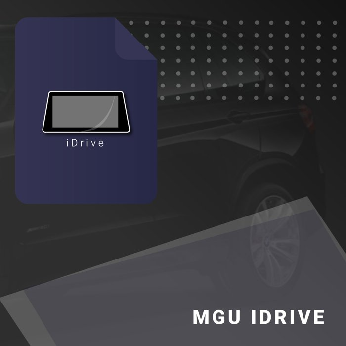 Picture for category MGU IDRIVE